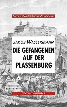 Leithner / Hotz / Schoberth |  Wassermann, Die Gefangenen auf der Plassenburg | Buch |  Sack Fachmedien