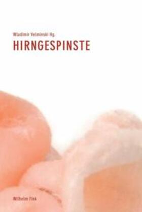 Velminski |  Hirngespinste | Buch |  Sack Fachmedien