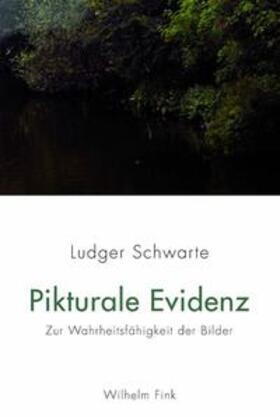 Schwarte |  Pikturale Evidenz | Buch |  Sack Fachmedien