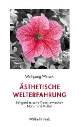 Welsch |  Welsch, W: Ästhetische Welterfahrung | Buch |  Sack Fachmedien