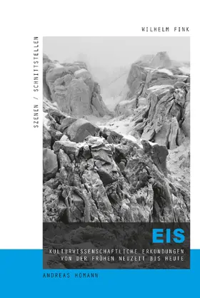 Homann |  Eis | Buch |  Sack Fachmedien