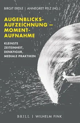 Erdle / Pelz / Axer |  Augenblicksaufzeichnung -- Momentaufnahme | Buch |  Sack Fachmedien