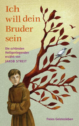 Streit |  Ich will dein Bruder sein | Buch |  Sack Fachmedien