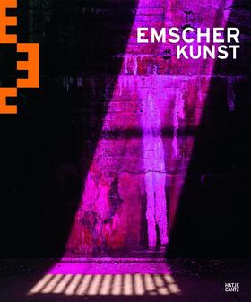 Matzner / Crepaz / Geiß-Netthöfel |  EMSCHERKUNST.2013 | Buch |  Sack Fachmedien