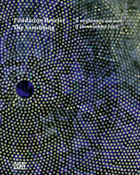 Vischer für die Fondation Beyeler / Fondation Beyeler, Riehen / Basel |  Es könnte gelingen, wenn nur die Sonne weiter scheint ... | Buch |  Sack Fachmedien