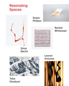 Vischer / Fondation Beyeler, Riehen / Basel |  Resonating Spaces | Buch |  Sack Fachmedien