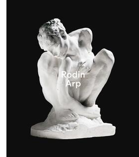 Bouvier / Fondation Beyeler, Riehen / Basel / Asten |  Rodin / Arp | Buch |  Sack Fachmedien