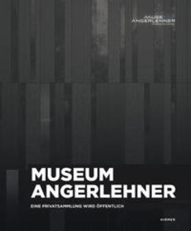 Assmann / Angerlehner |  Museum Angerlehner. Eine Privatsammlung wird öffentlich | Buch |  Sack Fachmedien