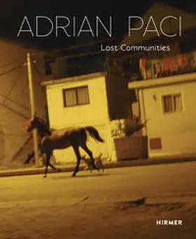 Hoffer / Steininger |  Adrian Paci | Buch |  Sack Fachmedien