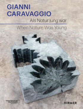 Kube Ventura / konkret |  Gianni Caravaggio | Buch |  Sack Fachmedien
