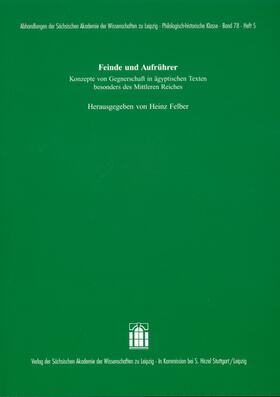 Felber |  Feinde und Aufrührer | Buch |  Sack Fachmedien