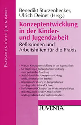 Sturzenhecker / Deinet |  Konzeptentwicklung in der Kinder- und Jugendarbeit | Buch |  Sack Fachmedien