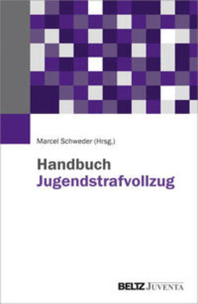 Schweder |  Handbuch Jugendstrafvollzug | Buch |  Sack Fachmedien
