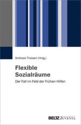 Thiesen |  Flexible Sozialräume | Buch |  Sack Fachmedien