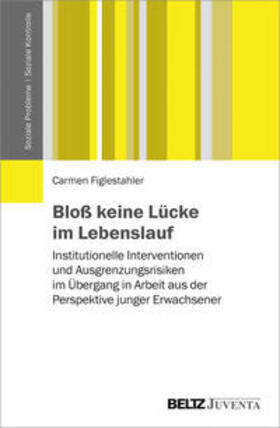 Figlestahler |  Bloß keine Lücke im Lebenslauf | Buch |  Sack Fachmedien