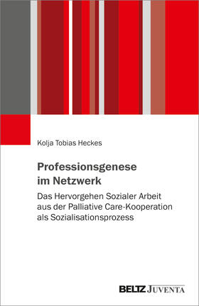 Heckes |  Professionsgenese im Netzwerk | Buch |  Sack Fachmedien