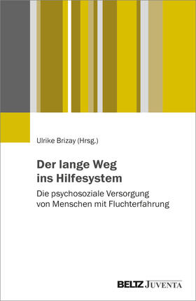 Brizay |  Der lange Weg ins Hilfesystem | Buch |  Sack Fachmedien