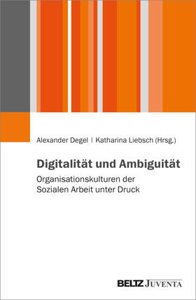 Degel / Liebsch |  Digitalität und Ambiguität | Buch |  Sack Fachmedien