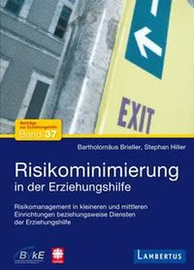 Brieller / Hiller |  Risikominimierung in der Erziehungshilfe | Buch |  Sack Fachmedien