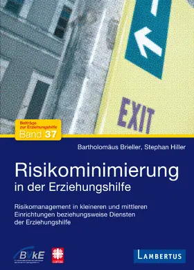 Brieller / Hiller |  Risikominimierung in der Erziehungshilfe | eBook | Sack Fachmedien