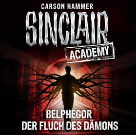 Hammer |  Sinclair Academy - Folge 01 | Sonstiges |  Sack Fachmedien