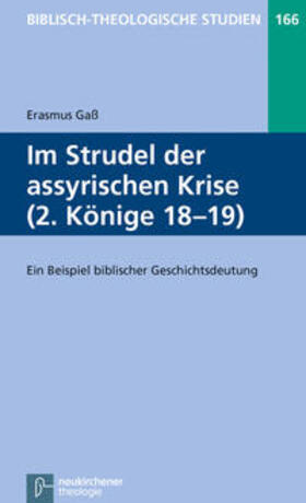 Gaß |  Gaß, E: Im Strudel der assyrischen Krise | Buch |  Sack Fachmedien