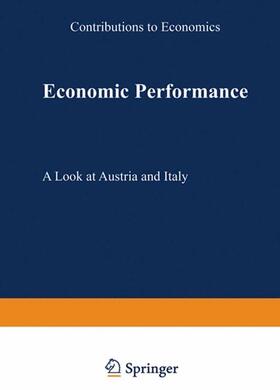 Punzo / Böhm |  Economic Performance | Buch |  Sack Fachmedien