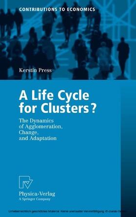 Press |  A Life Cycle for Clusters? | eBook | Sack Fachmedien