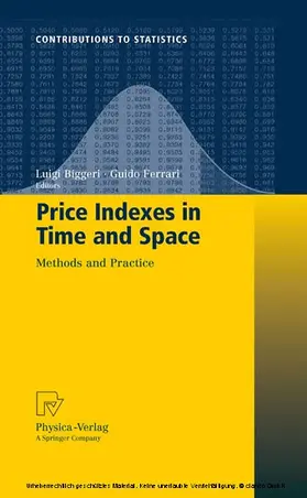 Biggeri / Ferrari |  Price Indexes in Time and Space | eBook | Sack Fachmedien