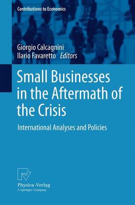 Favaretto / Calcagnini |  Small Businesses in the Aftermath of the Crisis | Buch |  Sack Fachmedien
