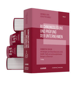 Anzinger / Oser / Schlotter | Rechnungslegung und Prüfung der Unternehmen (Gesamtausgabe - Abnahmeverpflichtung aller Bände)  | Buch | 978-3-7910-5861-0 | sack.de