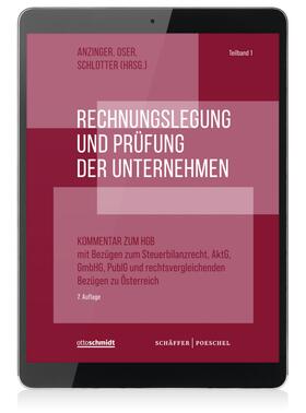 Rechnungslegung und Prüfung der Unternehmen (Online-Datenbank), Schäffer-Poeschel Verlag