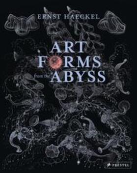 Williams / Evans / Roberts |  Art Forms from the Abyss | Buch |  Sack Fachmedien