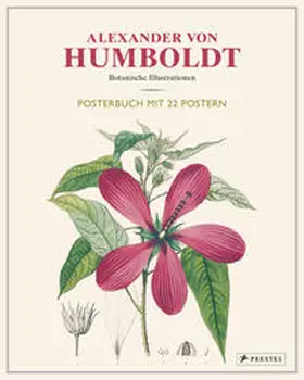 Baume |  Alexander von Humboldt: Botanische Illustrationen. Posterbuch mit 22 Postern | Buch |  Sack Fachmedien