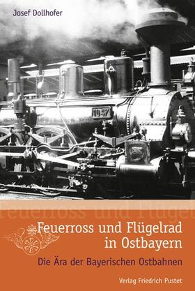 Dollhofer |  Feuerross und Flügelrad in Ostbayern | Buch |  Sack Fachmedien