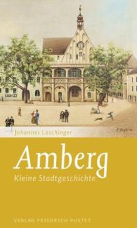 Laschinger |  Amberg | Buch |  Sack Fachmedien