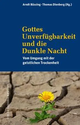 Büssing / Dienberg | Gottes Unverfügbarkeit und die Dunkle Nacht | Buch | 978-3-7917-3323-4 | sack.de