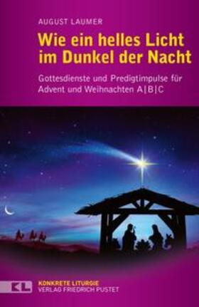 Laumer |  Wie ein helles Licht im Dunkel der Nacht | Buch |  Sack Fachmedien