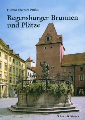 Paulus |  Paulus, H: Regensburger Brunnen und Plätze | Buch |  Sack Fachmedien