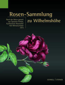  Rosen-Sammlung zu Wilhelmshöhe | Buch |  Sack Fachmedien