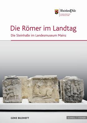 Riemer |  Die Römer im Landtag | Buch |  Sack Fachmedien