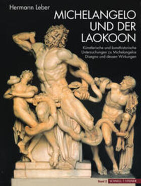 Leber |  Michelangelo und der Laokoon | Buch |  Sack Fachmedien
