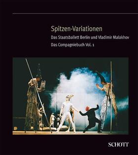 Theobald |  Spitzen-Variationen | Buch |  Sack Fachmedien