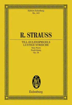  Till Eulenspiegels lustige Streiche | Sonstiges |  Sack Fachmedien