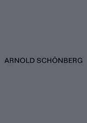 Schmidt |  Orchesterlieder | Sonstiges |  Sack Fachmedien