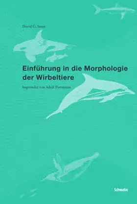 Senn / Portmann |  Einführung in die Morphologie der Wirbeltiere | Buch |  Sack Fachmedien