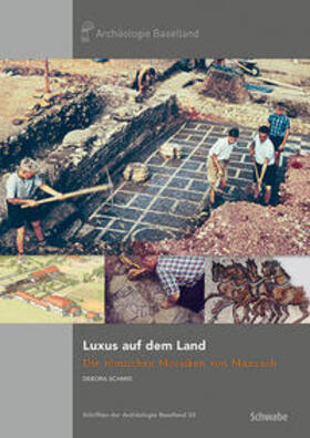 Schmid |  Luxus auf dem Land | Buch |  Sack Fachmedien