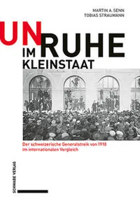 Senn / Straumann |  Unruhe im Kleinstaat | Buch |  Sack Fachmedien