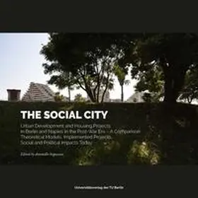 Braun / Zerlenga / Staudinger |  The Social City | Buch |  Sack Fachmedien