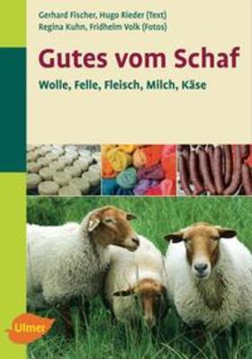 Fischer / Rieder / Volk |  Gutes vom Schaf | Buch |  Sack Fachmedien